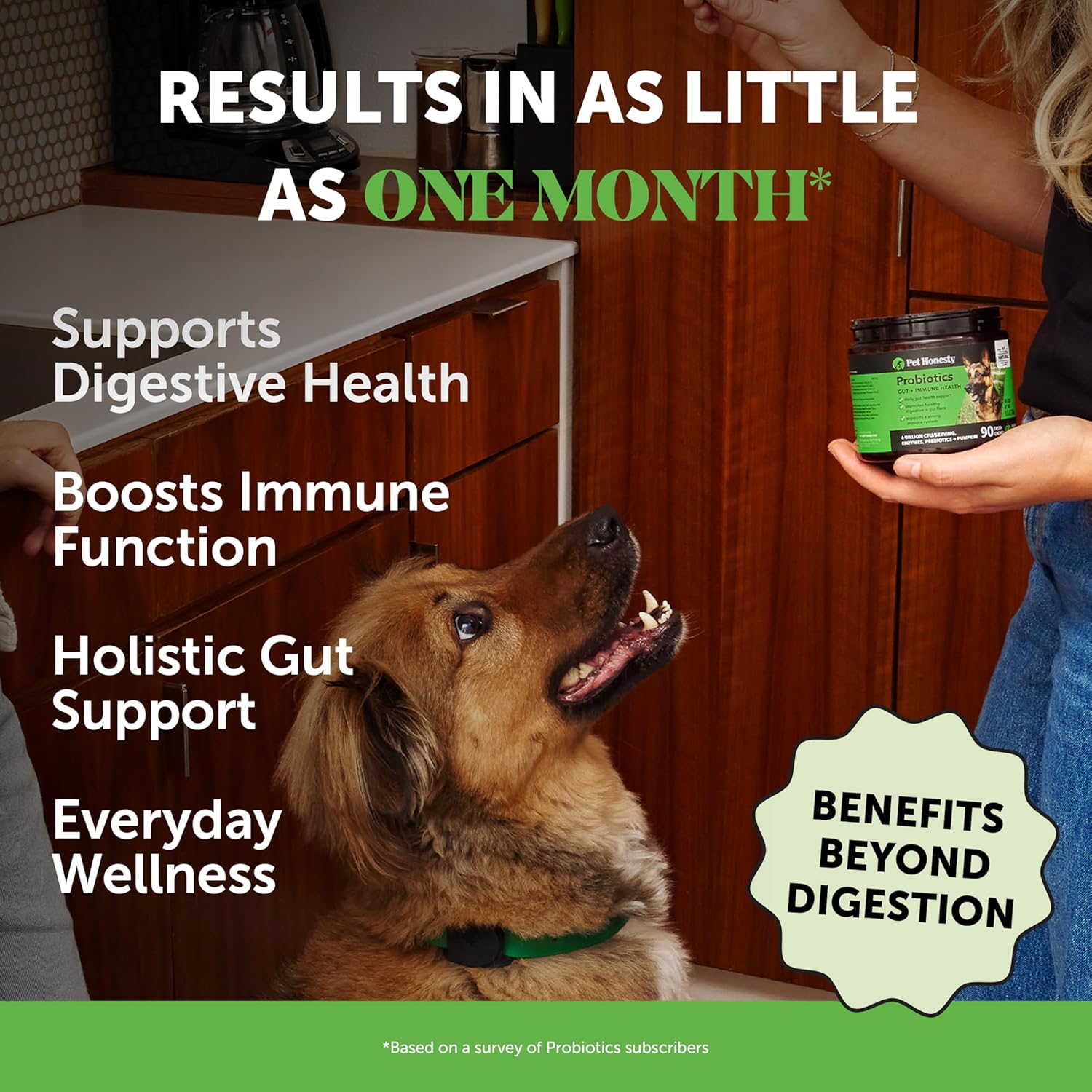 Youmile Probiotics For Dogs Soft Chews For Seasonal Allergies, Gut, And Digestive Health. Vet-Reviewed, Premium-Quality Ingredients - Supplements Dog  Vitamin Hip  And  Joint  Supplement