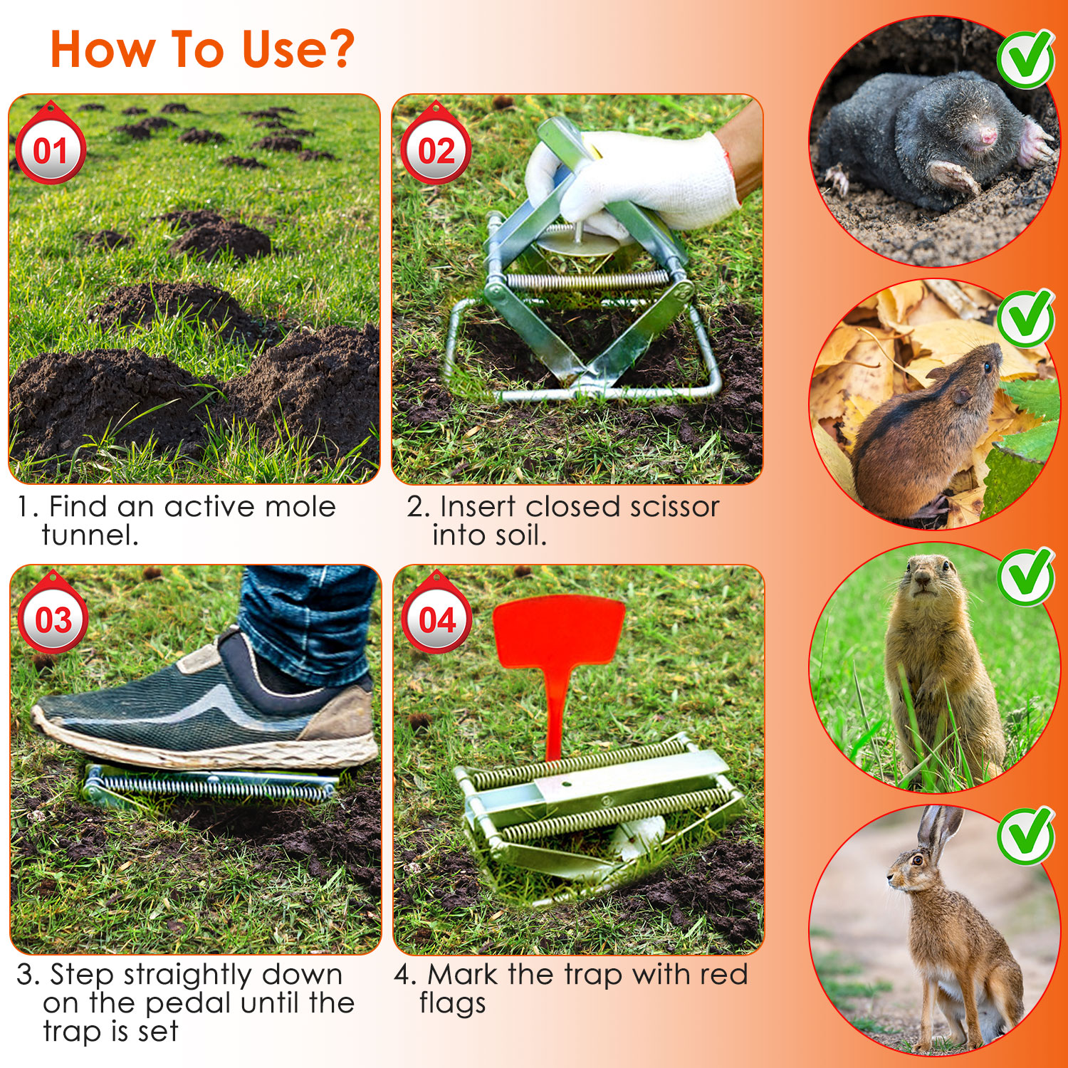 2PCS Easy Setup Mole Scissor Traps Outdoor Reusable Mole Rodent Control Trap Solid Metal Material For Lawn Garden Yard Pro Type