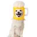 Beer Cap
