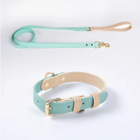 Leather Pet Dog Leash Collar Set