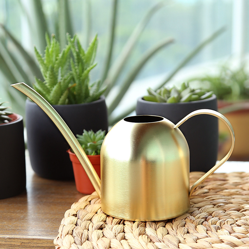 Stainless Steel Watering Can Watering Can Long Mouth Garden