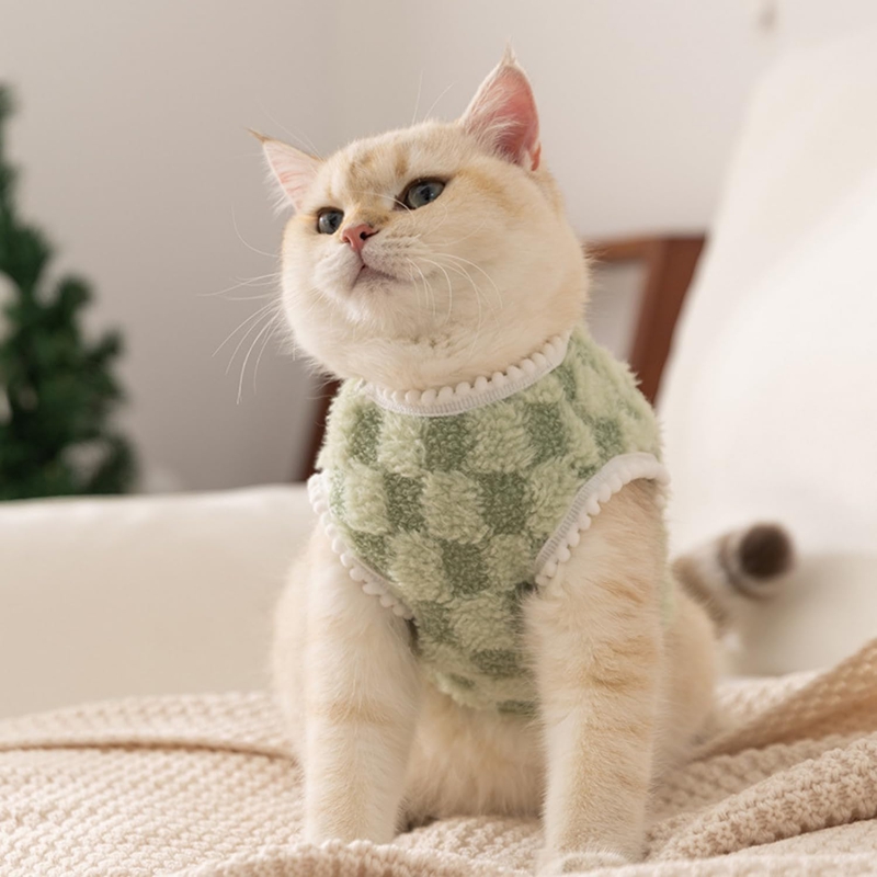 Autumn And Winter Korean Version New Dog Cute Cartoon Little Bear Sportswear Cat Teddy Pet Clothing