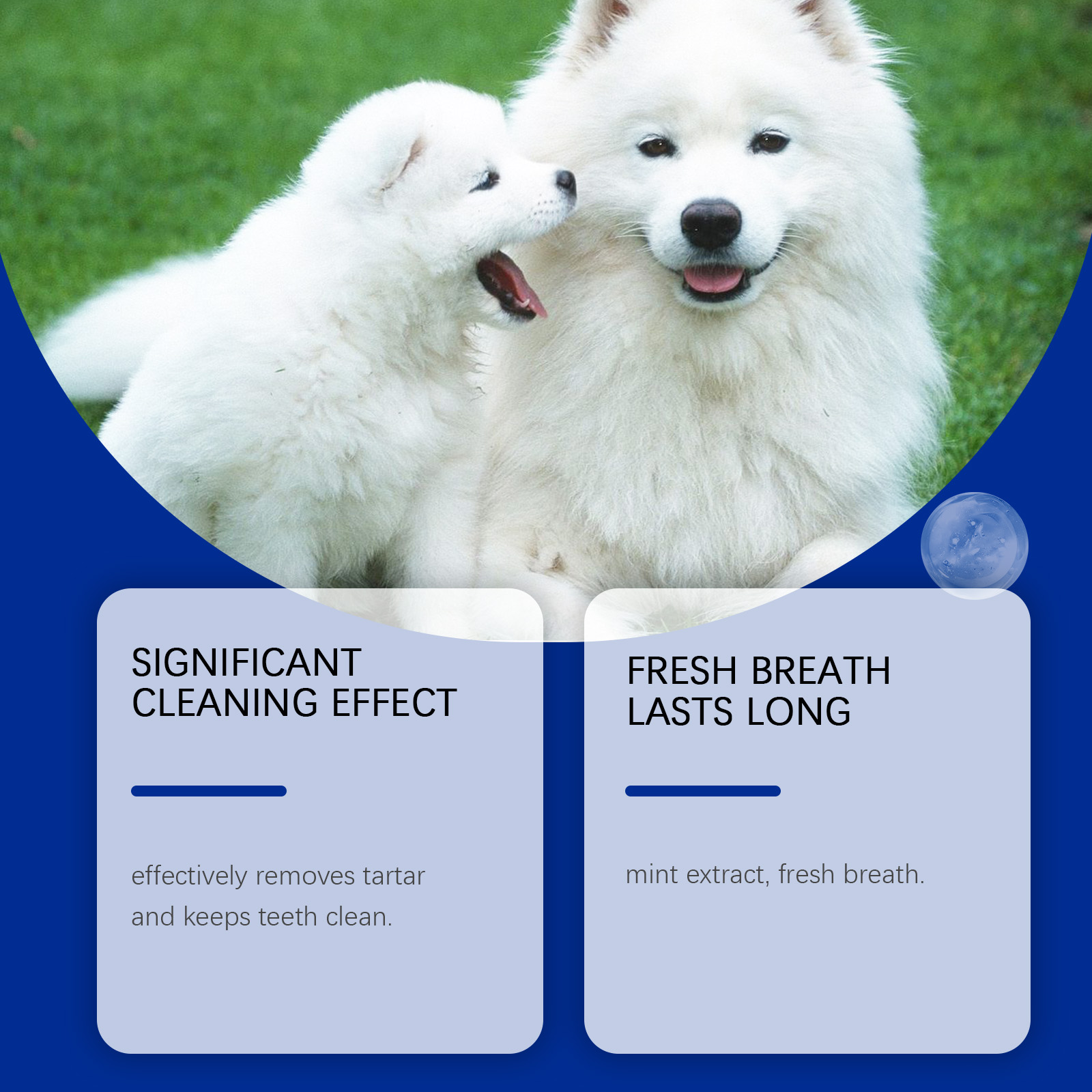 Dog Teeth Cleaning Powder 10