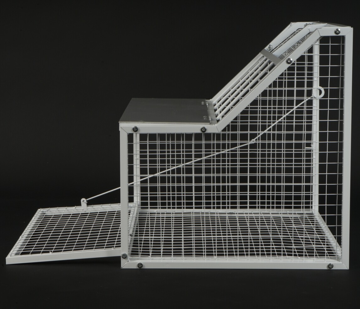 Pigeon Loft Door Removable Trap Door 4 Inlet Pigeon Entry