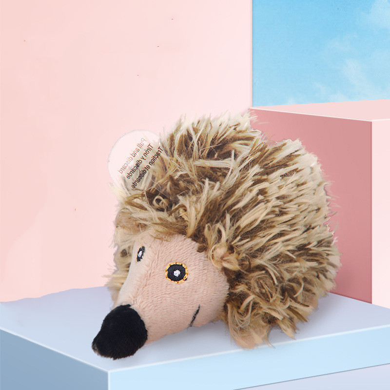 Hedgehog