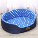 Royal Blue Dot