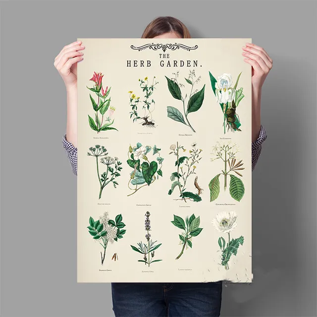 Vintage Herb Garden Botanical Education Poster Wall Art Print - Shop at LoveMi