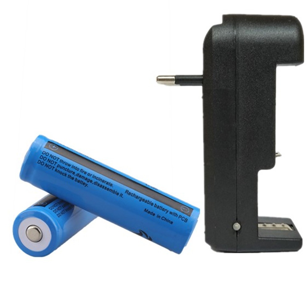 Battery Charger With Li-ion Batteries 3.7V 3000mAh