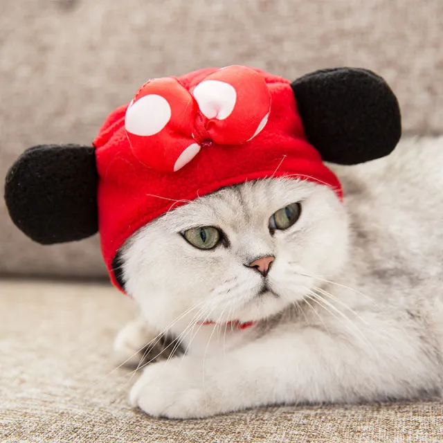 Tang Suit Cat Dress Up Accessories Dog Red - Shop at LoveMi