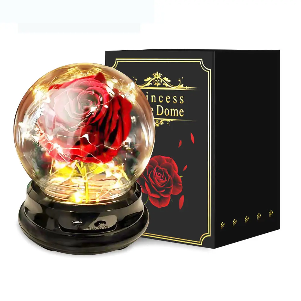 Mother Day Gift Dried Flowers Eternal Real Rose Home
