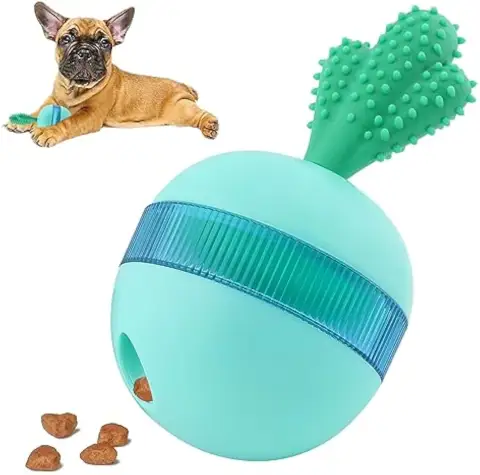 Interactive Treat Dispensing Dog Toys Different Functions Dog Puzzle