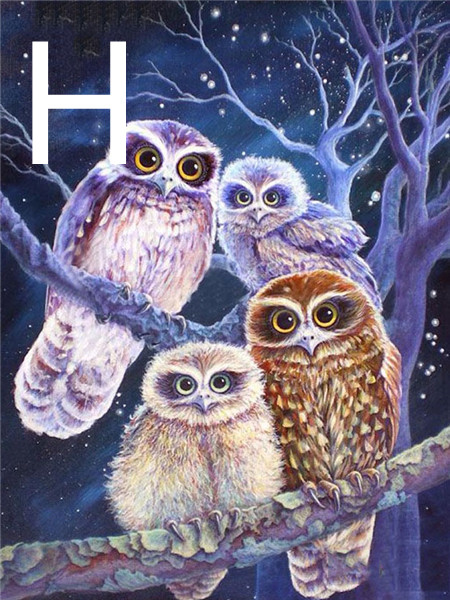 Title 8, Owl Night Tree 5D Diamond Painting Kit, Embroid...