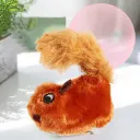 Little Squirrel