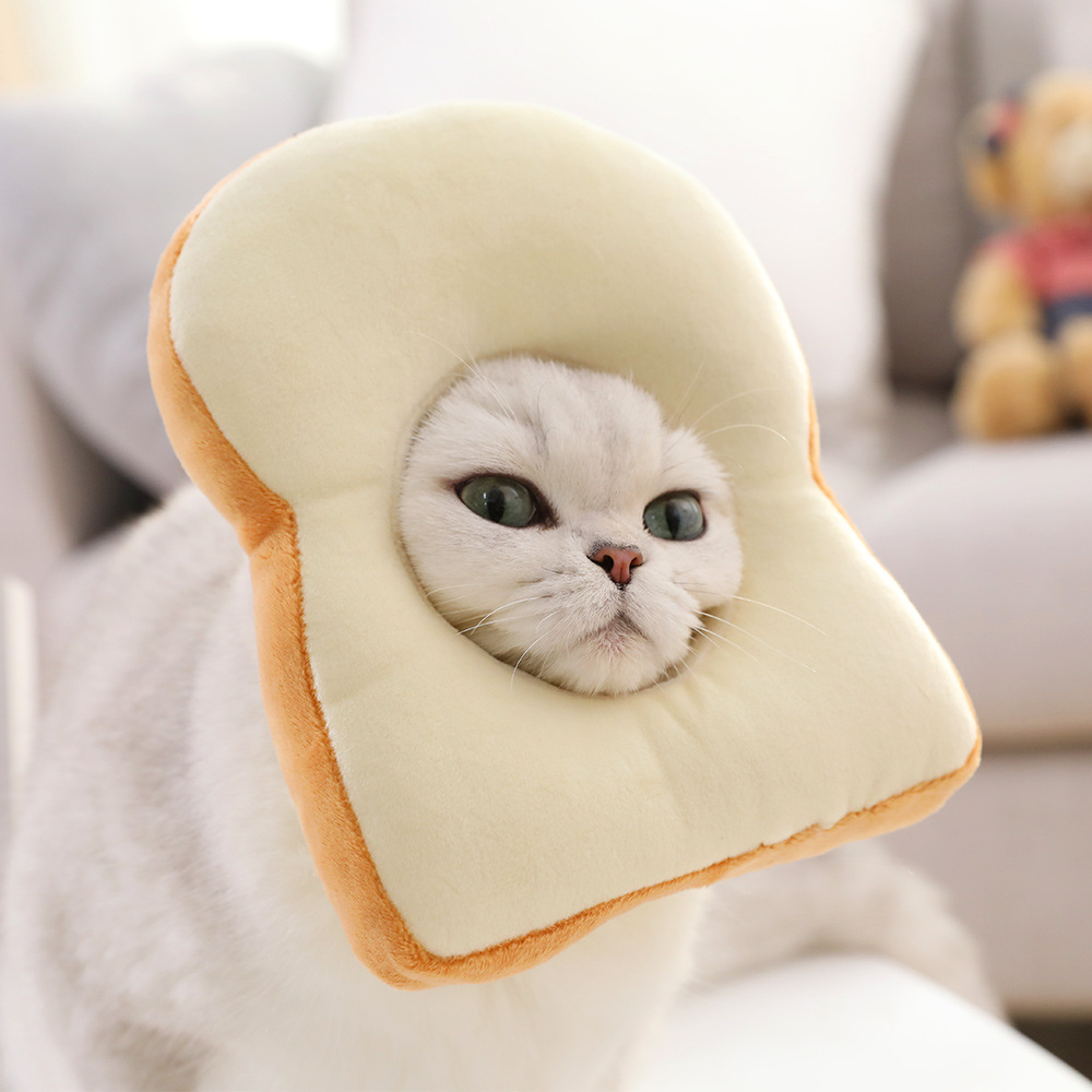 Title 3, Kitty Toast Headgear, smešni dodaci za kućne lj...