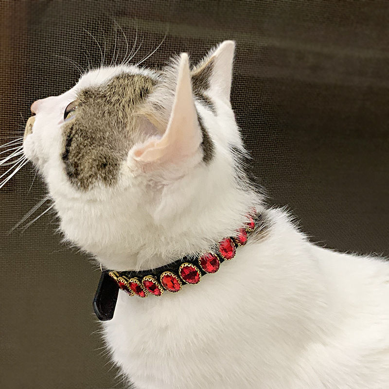 Retro Dog Rope Cat Collar image 4