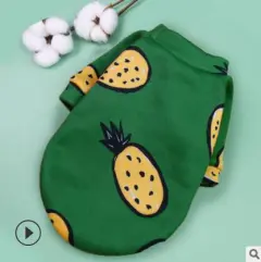 Small Dog Pet Trendy Winter Clothes - Pineapple - View 1
