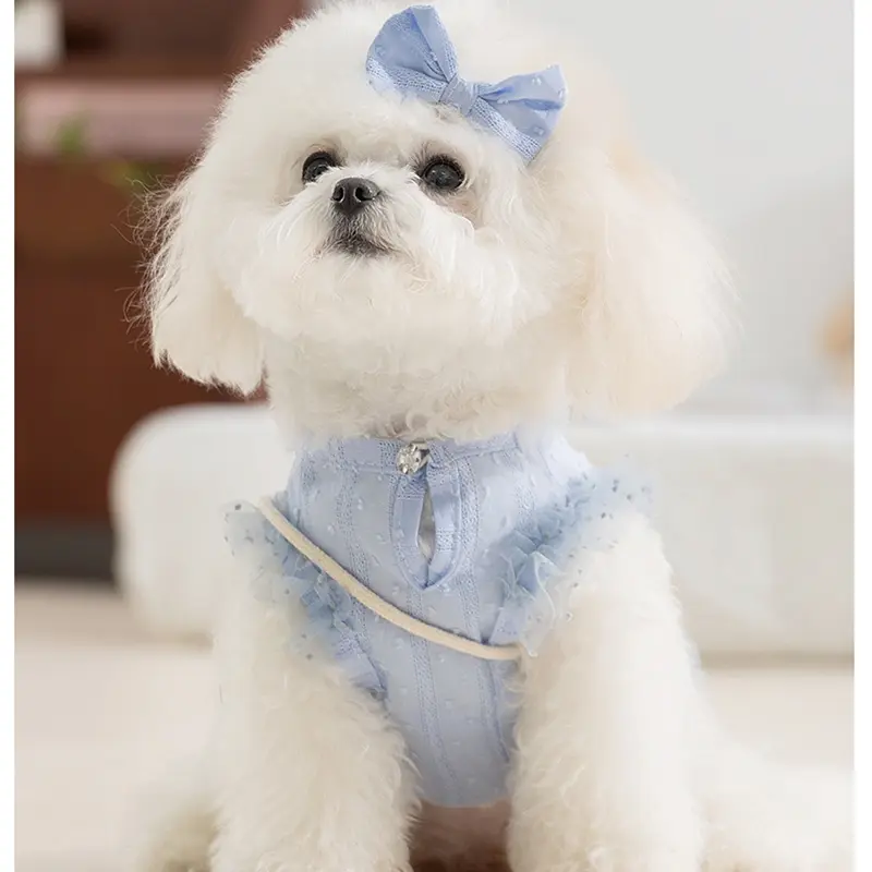 Dog Quiet Country Shoulder Bag, Small Dog On The Back Of The Feet, Ladylike Style Cat Pet Teddy Clothes