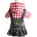 Red Plaid Pineapple