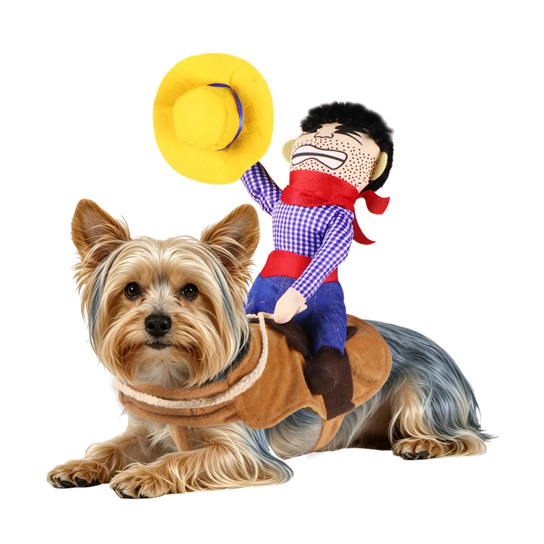 Costumes d'Halloween pour chiens