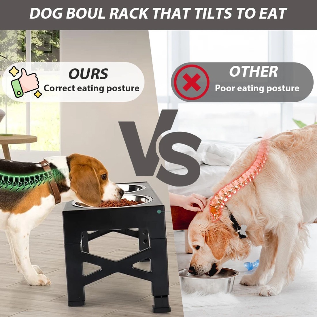 Large Dog Food Feeding Stand Station Stainless Steel Double Raised Bowls Feeding