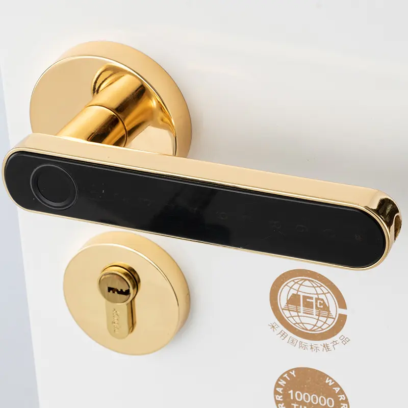 The Smart Door Lock Opens At a Touch