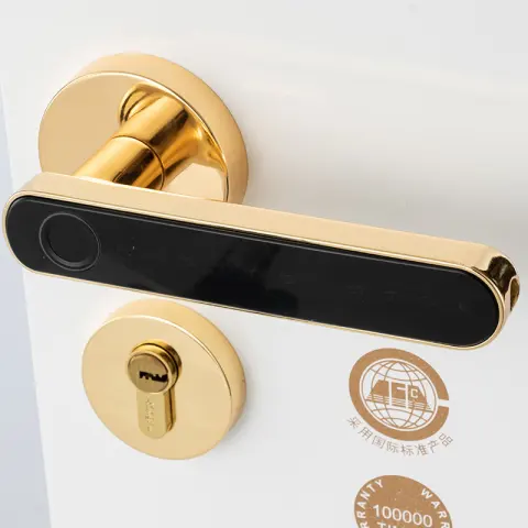 The Smart Door Lock Opens At a Touch
