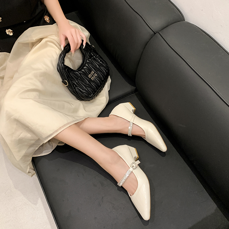 Pointed Toe Chunky Heel Shoes