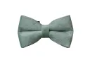 Bow Tie