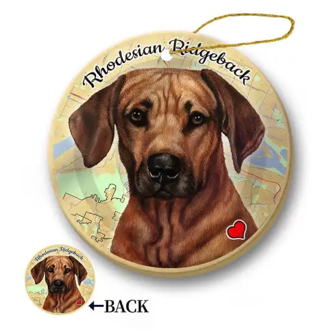 Car Pendant Sleeping Dog Angel Home Decor Acrylic Showcase