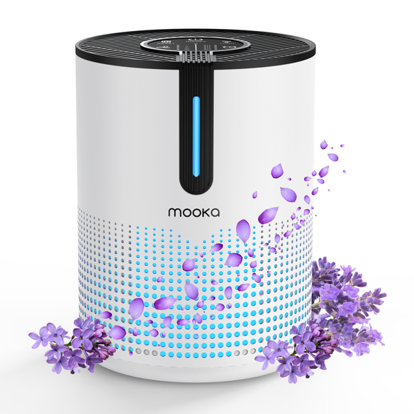 Amazon et TEMU interdits, pas de commandes le week-end. MOOKA – purificateur d'air – Image 5