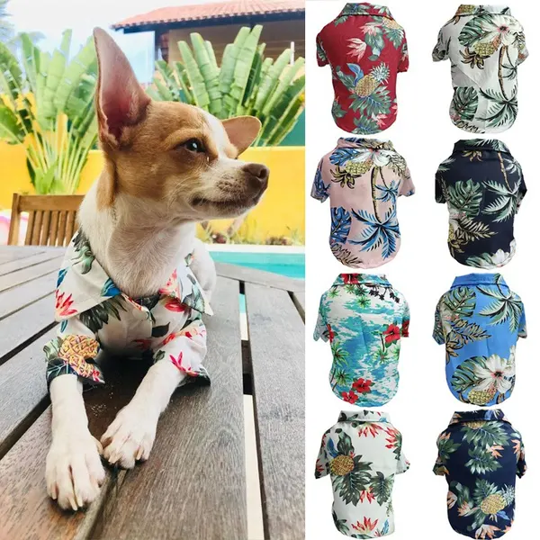Dog Spring and Summer Thin Shirt Corgi Blue Cat