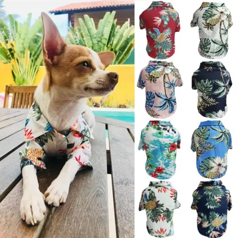 Dog Spring and Summer Thin Shirt Corgi Blue Cat
