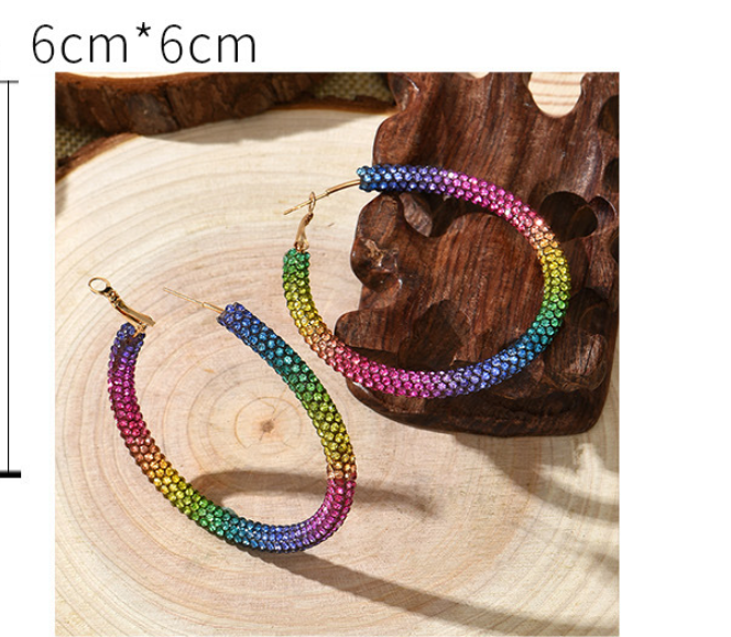 Diamond-encrusted Ear Stud With Geometric Circle