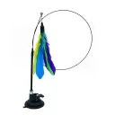 Colorful Feathers