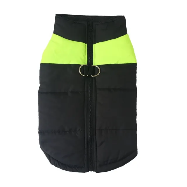 Dog Autumn And Winter Vest Teddy Golden Retriever Two legged Cotton Padded Jacket Thickened Cold And Warm Small And Medium sized Dog Chest Harness ... Green - Shop at LoveMi