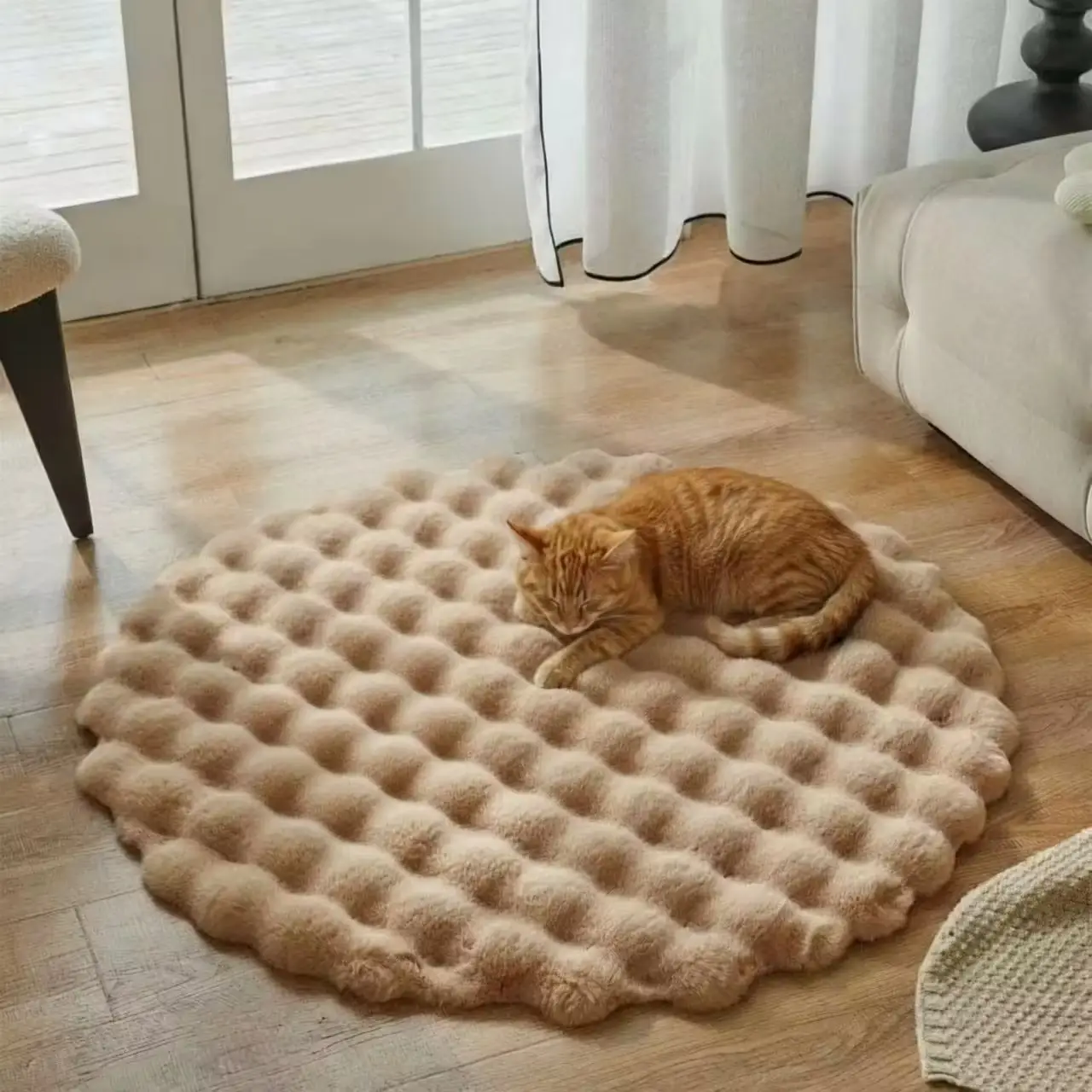 Cat Carpet