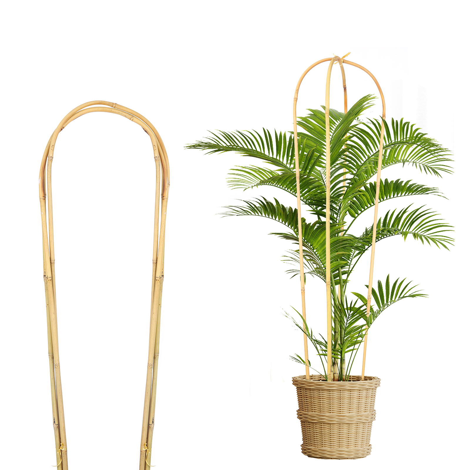 Bamboo U-Hoops Trellis, 3 ft, 3-Pack