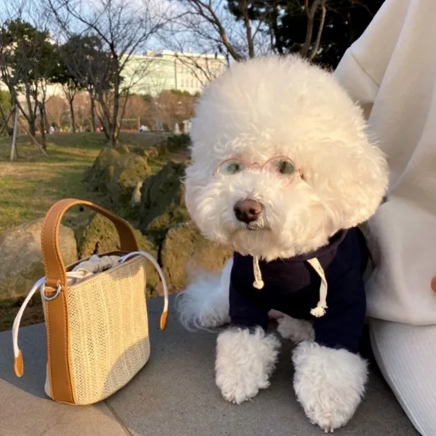 Fashion Simple Pet Dog Sweater Clothes Navy Blue - Shop at LoveMi