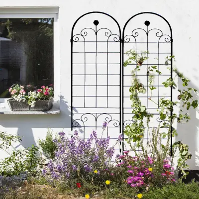 Metal Garden Trellis For Outdoor Climbing Plants