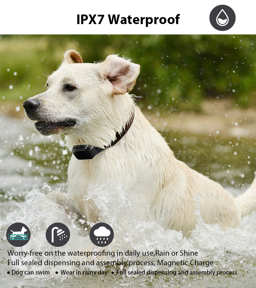 Pet Dog Surrounding Electric Shock Pillar Strong Electronic Training Collar