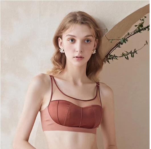 Title 6, Fashion Mesh Comfortable Tube Top Bra Set