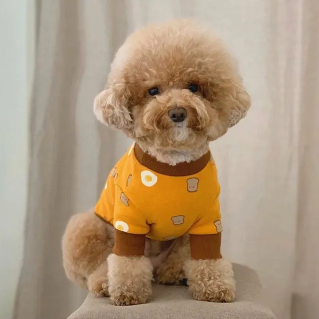 Pet Thin Toast Bottom Shirt Yellow Toast - Shop at LoveMi