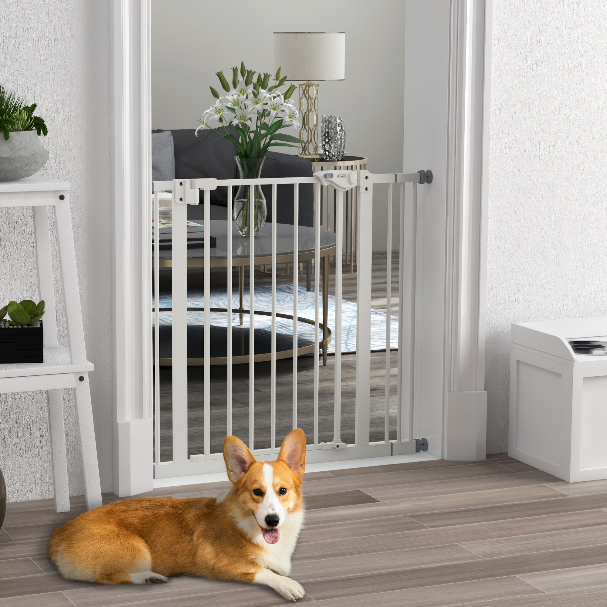 Adjustable Safety Door With One Extension And Four Screws — image 5