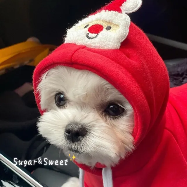 Santa Claus Warm Pullover Hoodie Cat Dog Changeover Red - Shop at LoveMi