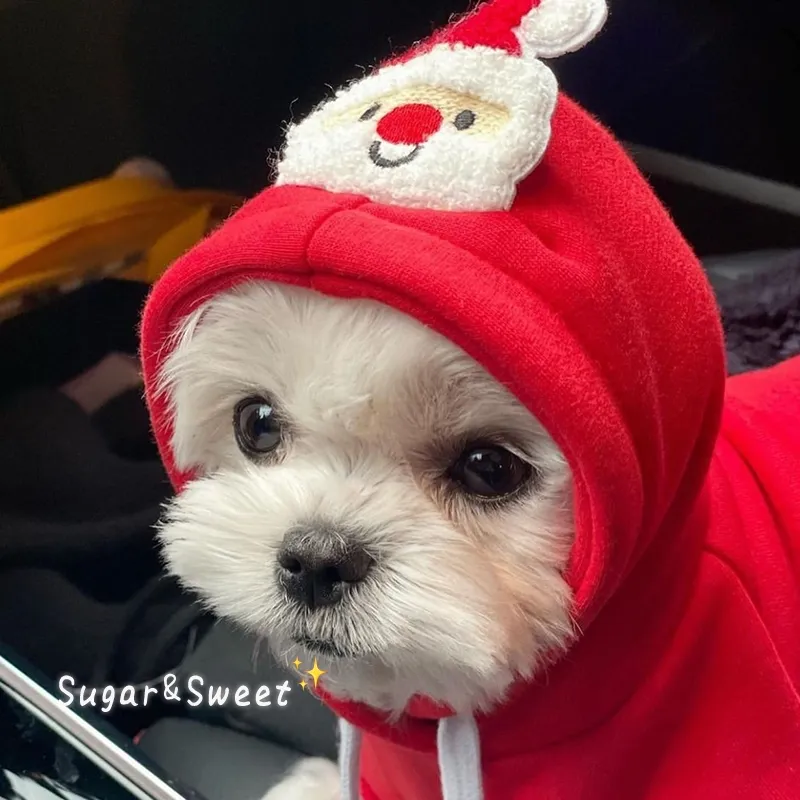 Santa Claus Warm Pullover Hoodie Cat Dog Changeover - Red