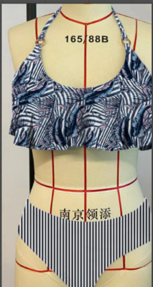 European And American Print Stripe Swimsuit Women Bikini