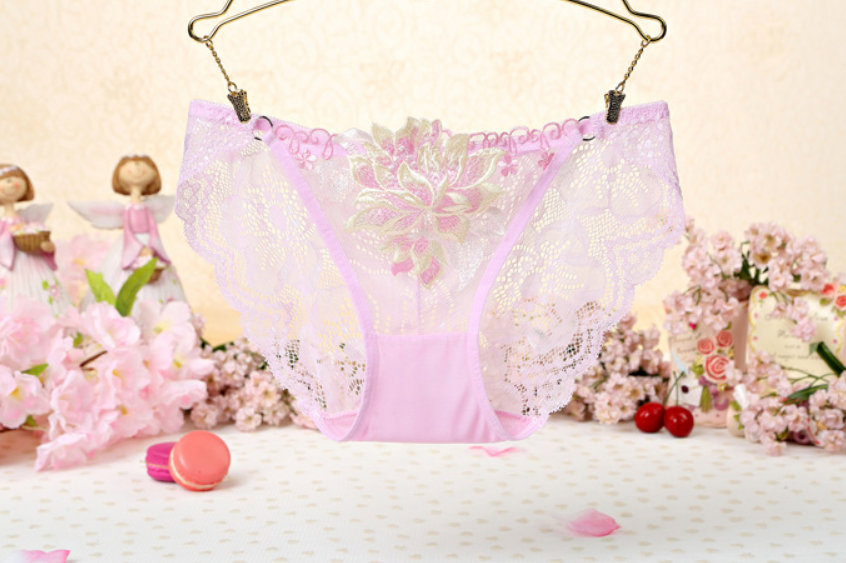 Title 13, Sexy Lace Low Waist Cute Embroidered Ladies Pan...