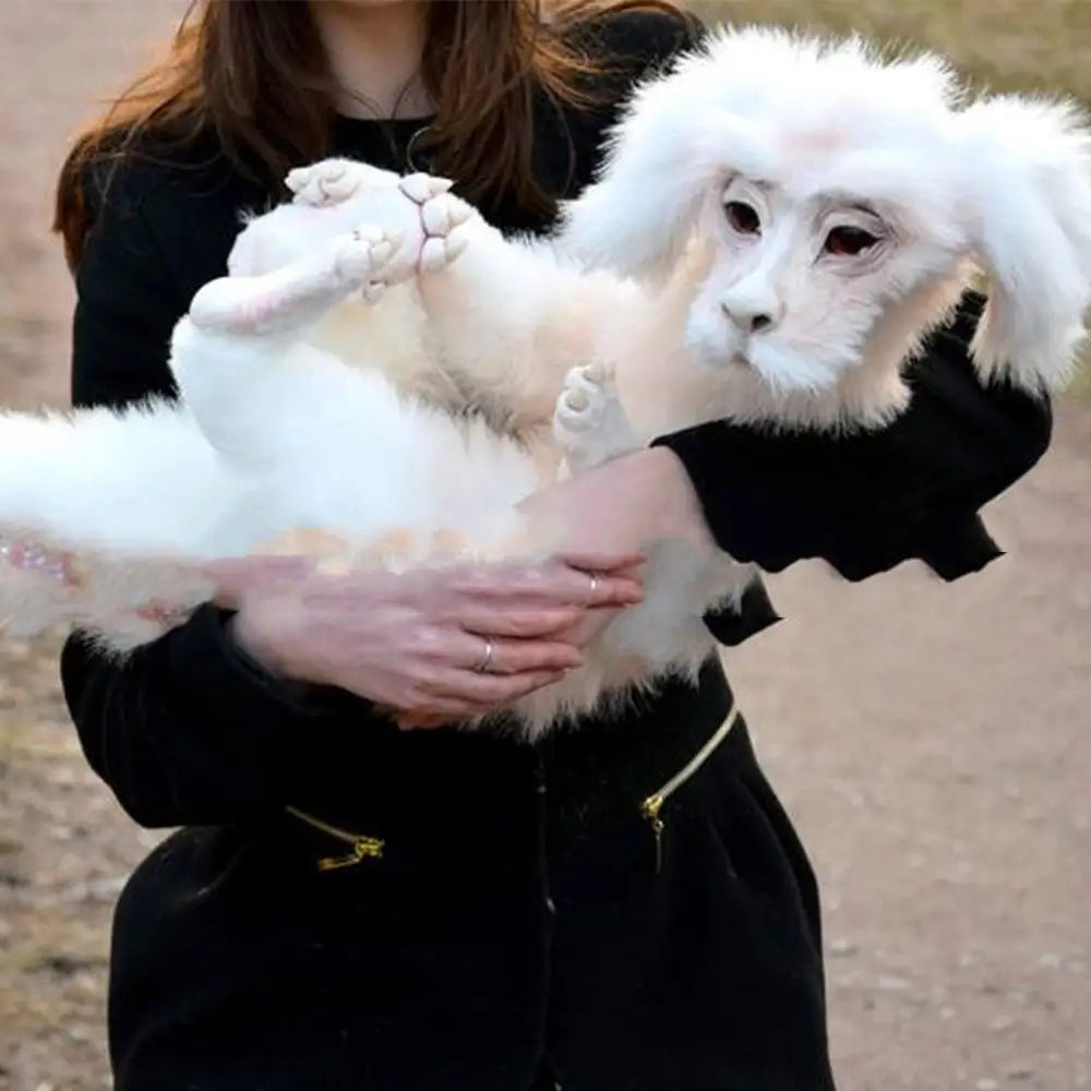 New Maze Worm Red Hairy Big Mouth Animal Plush Doll Toy Home Decoration