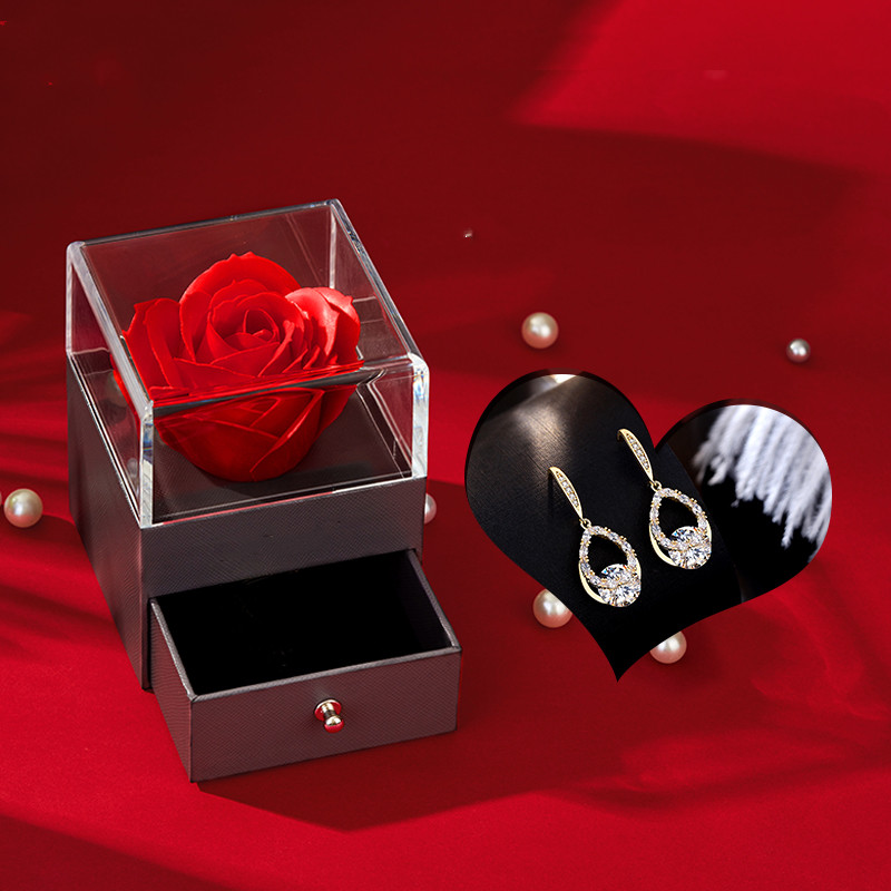 High-end Niche Earrings Female Temperament Long Earrings