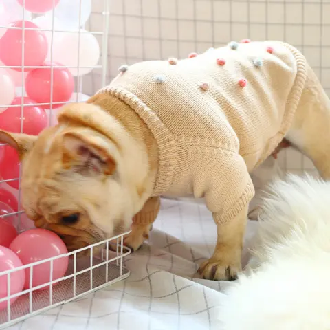 Autumn and Winter Warm French Cow Two-legged Pet Clothes